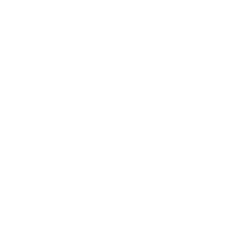 map icon