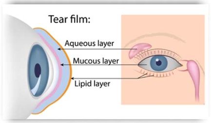 Dry Eye Treatment Tear Film