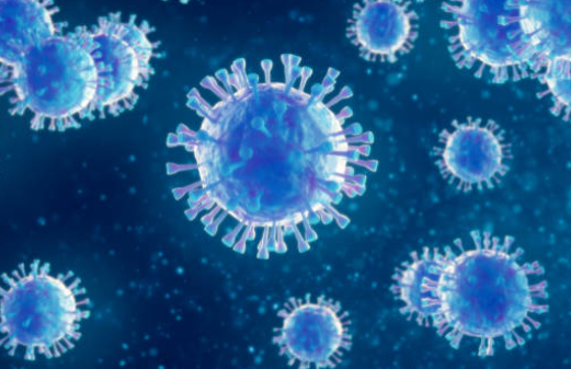 Tips for Avoiding Coronavirus and Other Illnesses